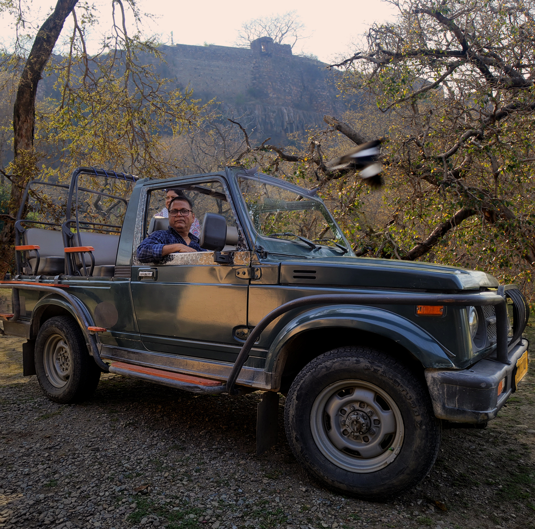 Ranthambore Gypsy Safari